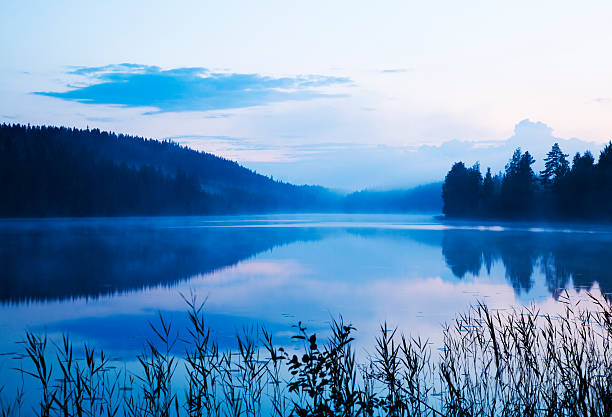 lago nebbioso - finlandia laghi foto e immagini stock