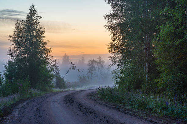 Misty road stock photo