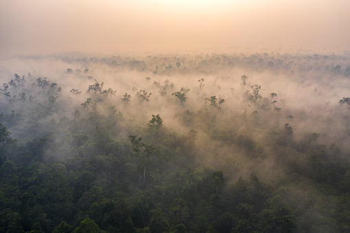 Drone aerial view of a misty sunrise on the island of Borneo (Kalimantan) over preserved rainforest. Unfortunately this mist is caused by smoke coming from slash and burn fires occurring most of the time during the dry and hot season. Kalimantan remains a hotspot place such as the Amazon where heavy deforestation happens on a daily basis.