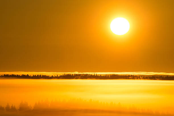 Misty sunrise stock photo