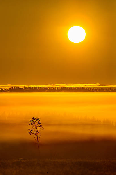 Misty sunrise stock photo