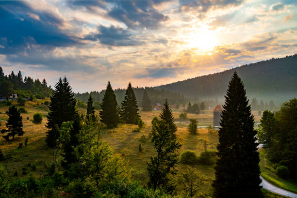 산 타라에 mitrovac, 아름다운 안개 아침 계곡 풍경, cloyddy 태양 이광 하늘, 사랑스러운 녹색과 나무와 덤불과 인근 언덕의 노란색 색상 음영. 미트로박나 타리 - 세르비아 뉴스 사진 이미지