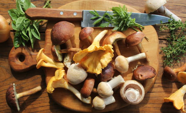 Mix of forest mushrooms on cutting board over old wooden table stock photo