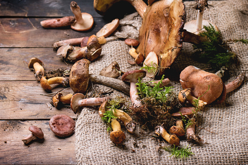 Mix of forest mushrooms over old wooden table. See series