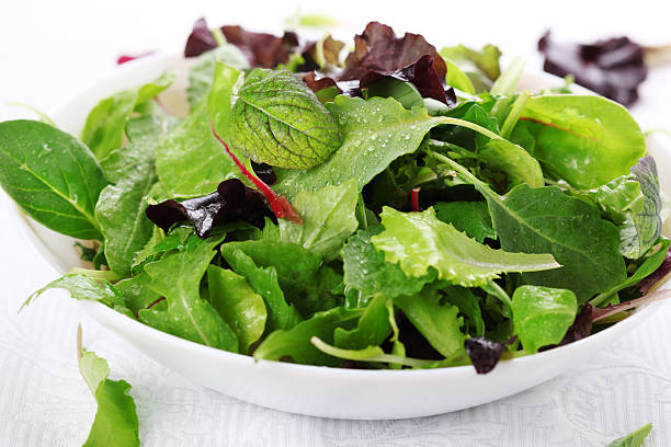 mixed fresh salad leaves stock photo