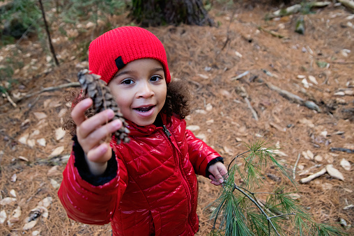 Mixed-race little girl out in the forest to pick up fir branch for DIY Christmas decoration project. This is part of a series. She is wearing red and black warm clothes. Horizontal waist up outdoors shot with copy space.