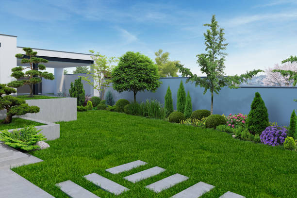 Modern backyard with oriental inspired background, 3D rendering Example of decorating and grouping plants, nature scene backyard stock pictures, royalty-free photos & images