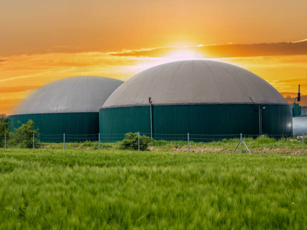 usine de biogaz moderne au coucher du soleil - transition énergétique photos et images de collection