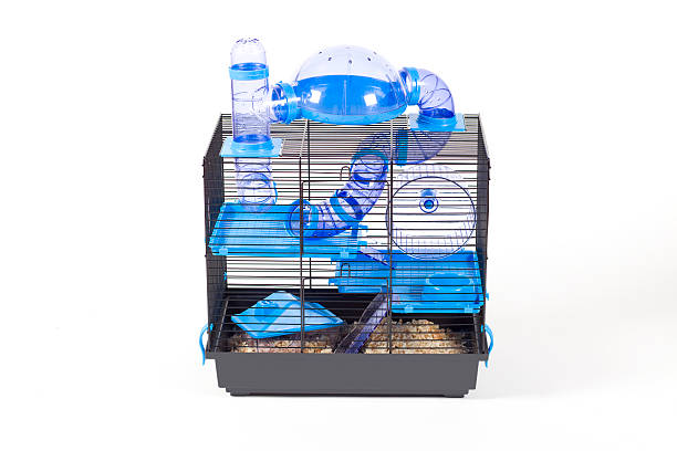 modern cage for hamster XXXL stock photo