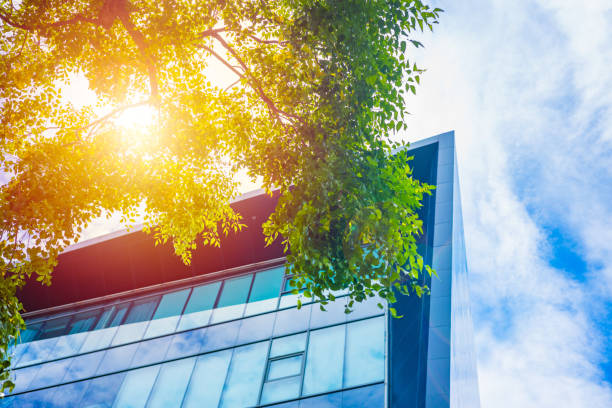 Modern city Eco office building with tree plant for ozone air purify and sun heat protection help saving energy. stock photo
