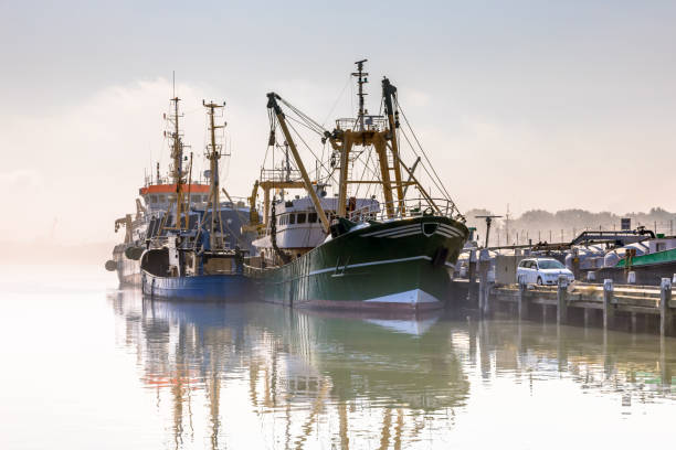 Modern fishing ships in hazy weather haringvliet stock photo