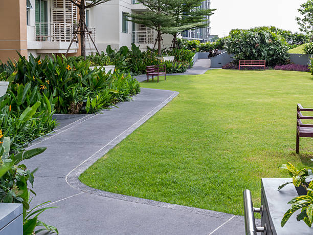 Modern rooftop garden with pathway stock photo