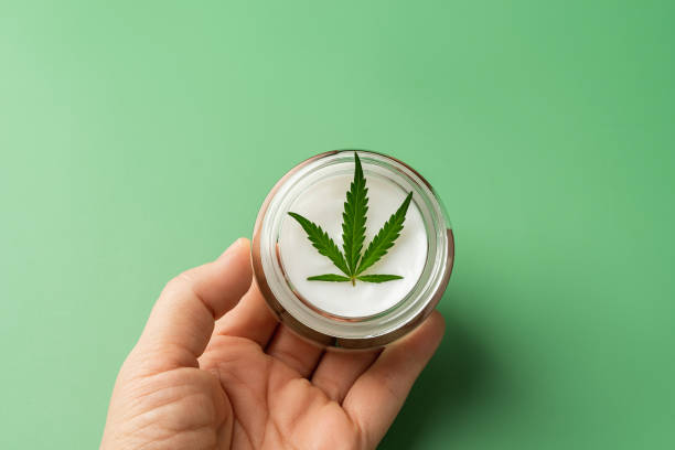 Moisturizer skin care cream with fresh cannabis sativa leaf in a woman hand palm against green background. Herbal hemp cosmetics. Medical marijuana plant for face and body care. stock photo