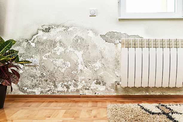 mold and moisture buildup on wall of a modern house - condensatie stockfoto's en -beelden