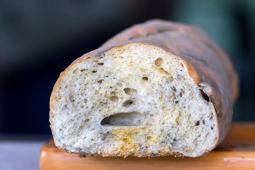 Fungi On Bread