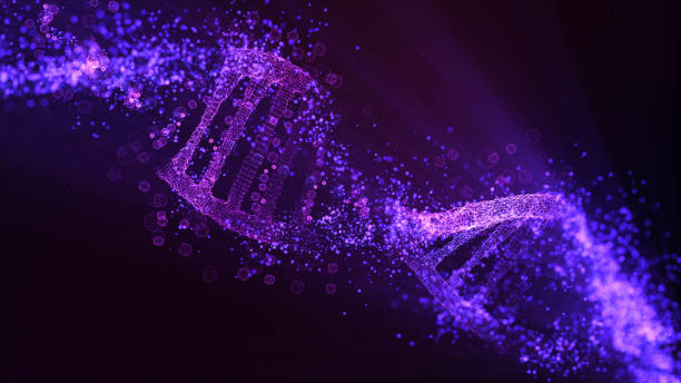 Best Dark Purple Hair Dye Stock Photos Pictures Royalty Free
