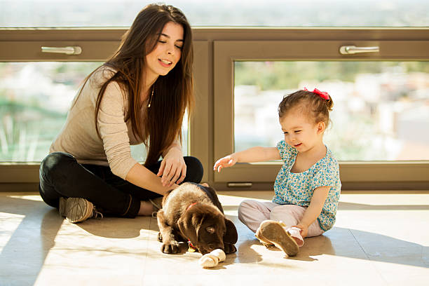 Mom and young daughter watching a puppy playing Young mother and her daughter playing and hanging out with their new puppy at home beautiful young brunette girl playing with her dog stock pictures, royalty-free photos & images