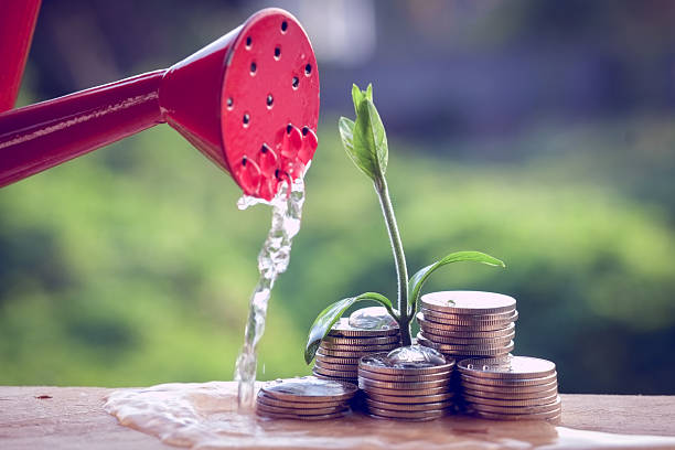 Money and plant with hand stock photo