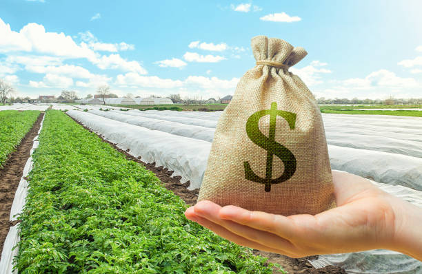 farm loans for new farmers ohio