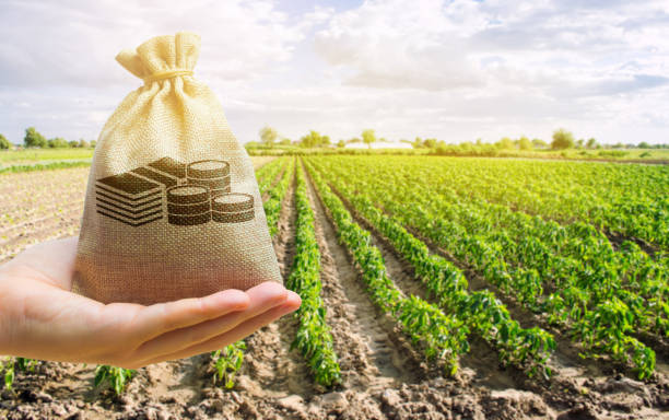 south dakota state usda farm loans female