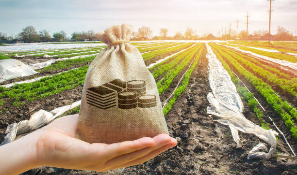 farm loans for new farmers maine