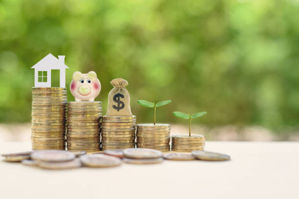 Money saving, first time asset / property buyer concept : Home model, piggy bank, dollar bags, young sprout on stacks of rising coins. stock photo
