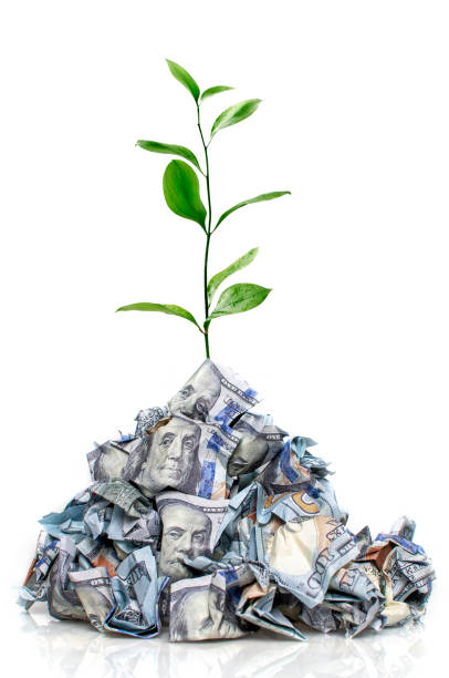 de boom van het geld in dollars - save water bucket stockfoto's en -beelden