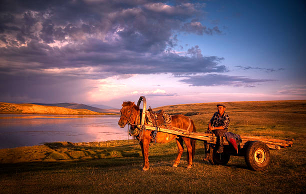 mongolische farmer mit pferd und golfwagen - rawpixel stock-fotos und bilder