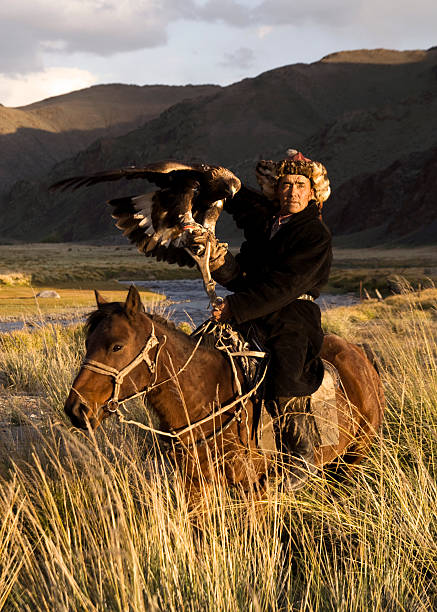 mongolische mann mit ausgebildeten eagle - rawpixel stock-fotos und bilder