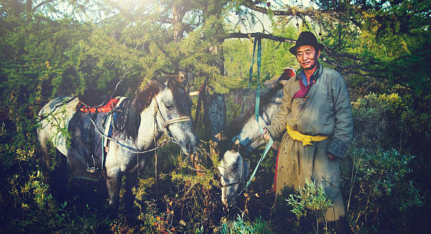 mongolische tsataan pferde ruhigen abgeschiedenheit nomadischen konzept - rawpixel stock-fotos und bilder