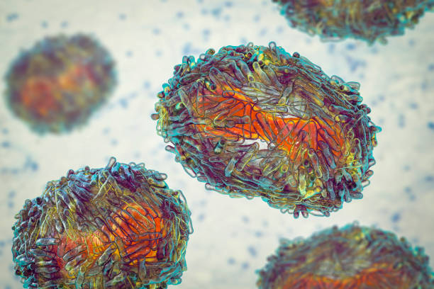 Monkeypox virus, 3D illustration stock photo
