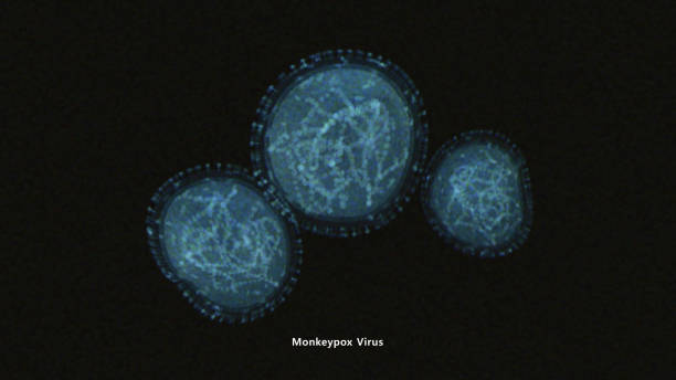 вирус оспы обезьян - monkey pox стоковые фото и изображения