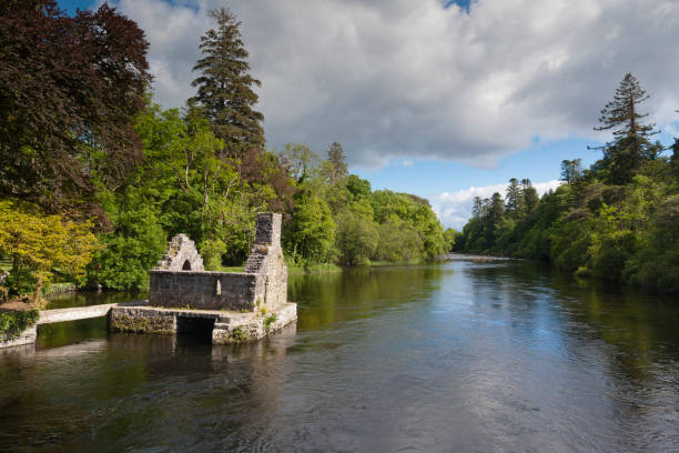 Monk's Fishing House, Cong Village, County Mayo, Ireland A 13th Century ruin on the Cong River, the Monk's Fishing House, part of Cong Abbey, set in a lush landscape with, in the distance, a weir across the river.  County Mayo, Ireland. michael stephen wills cong stock pictures, royalty-free photos & images