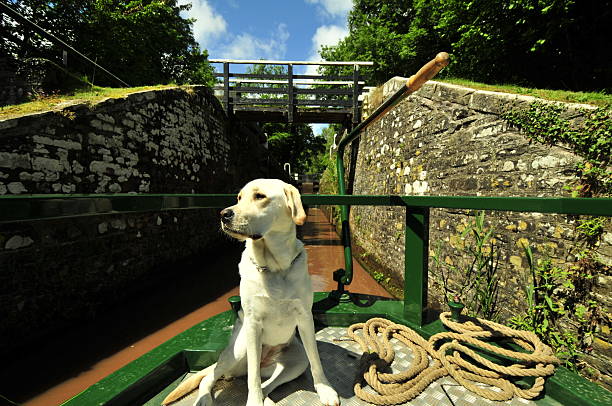 Monmouthshire & Brecon Canal stock photo