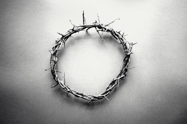 Monochrome Crown of Thorns Moody black and white image of crown of thorns like Jesus Christ wore with drops of blood on tips of thorns over grunge background. Perfect for Easter. Image shot from top view. crown of thorns stock pictures, royalty-free photos & images