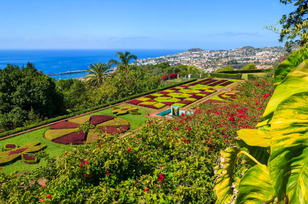 Monte tropical gardens in Funchal town, Madeira island, Portugal stock photo