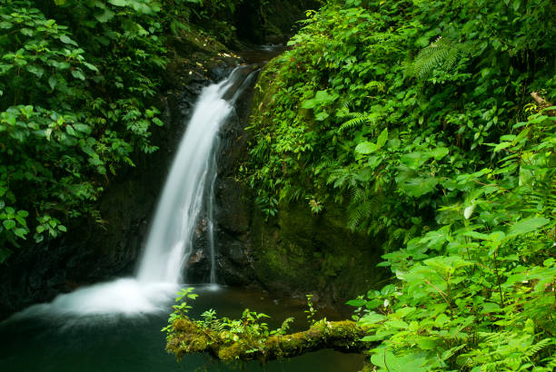 Monteverde waterfall Monteverde Biological Reserve monteverde stock pictures, royalty-free photos & images