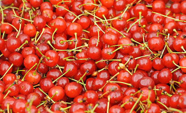 Montmorency Cherries at the Market  sour taste stock pictures, royalty-free photos & images