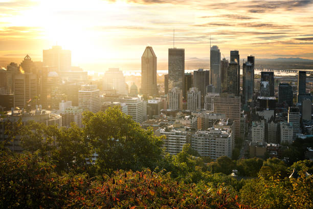 Montreal skyline from Mont Royal stock photo