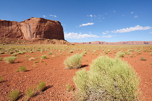 Monument Valley stock photo