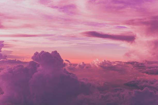 Moody purple sky high angle view of purple sky african violet photos stock pictures, royalty-free photos & images