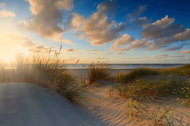 moody sunset along the dutch coast - nederland strand stockfoto's en -beelden