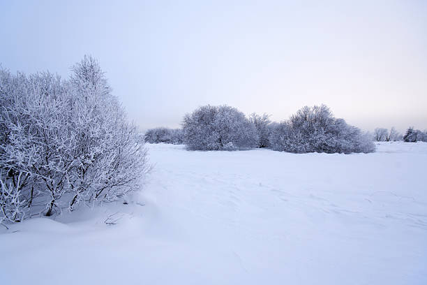 Moody winter landscape stock photo