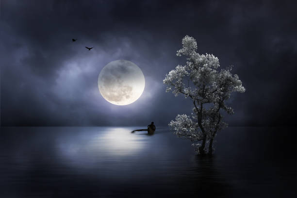 Moon shines beautifully on the dream country lighting up the fisherman stock photo