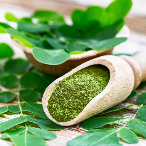 Moringa powder in wooden scoop with original fresh Moringa leaves on wooden table stock photo