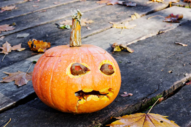 Ugly Pumpkin Stock Photos, Pictures & Royalty-Free Images - iStock