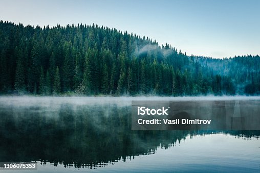 istock Morning fog over a beautiful lake surrounded by pine forest stock photo 1306075353