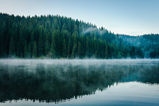 Morning fog over a beautiful lake surrounded by pine forest stock photo. Outdoors / Nature background