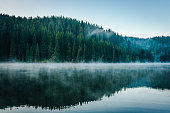 istock Morning fog over a beautiful lake surrounded by pine forest stock photo 1306075353