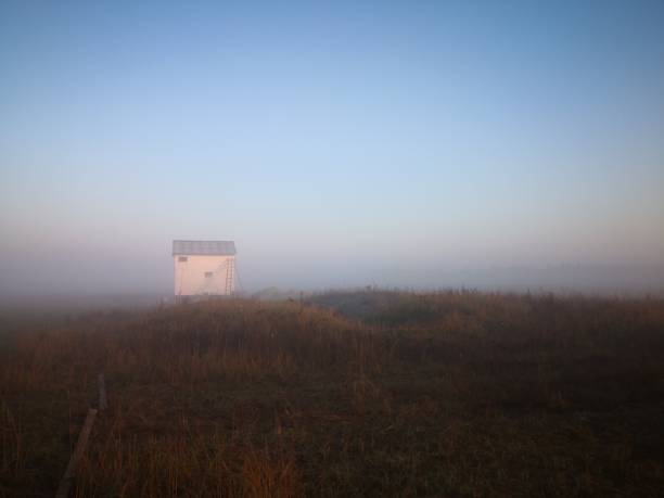 A morning in the field, lonely building in the mist stock photo